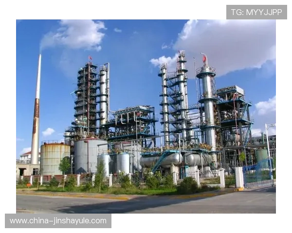 金沙中国集团简介：公司历史沿革与行业地位的详细介绍