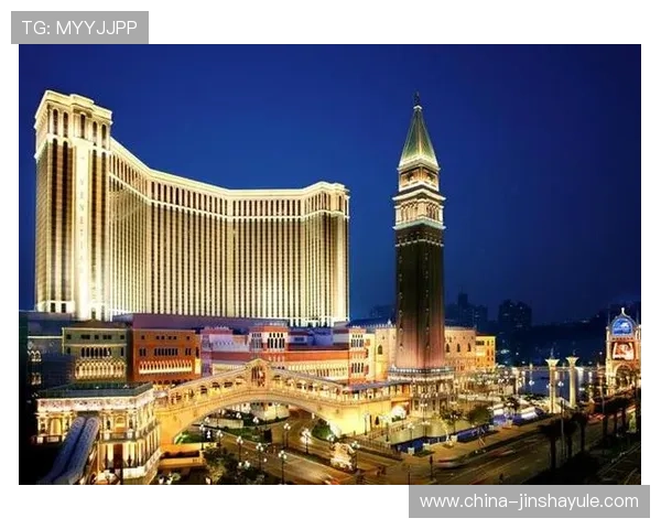 全面介绍金沙电子赌城登陆方式多样化满足不同玩家需求确保账户安全与游戏顺畅