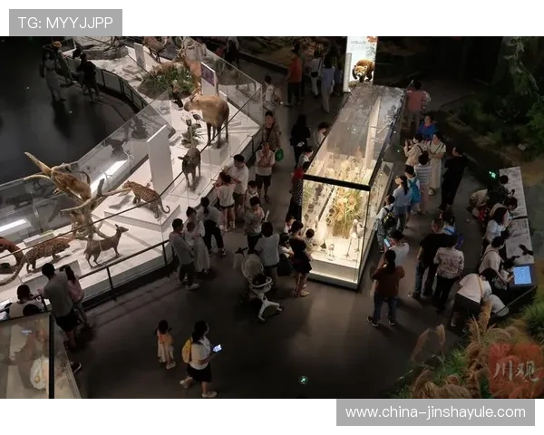 金沙国际网站登录入口详细流程及注意事项，确保每位玩家都能顺利进入游戏体验