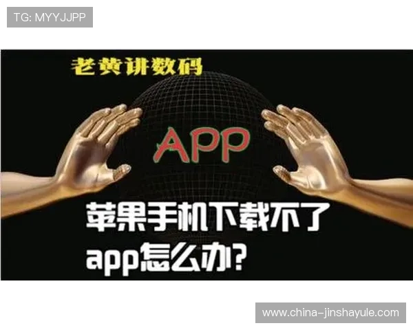 金沙入口常见登录问题及解决方案，助你轻松应对各种登录难题