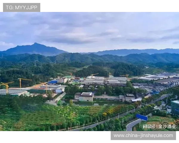 如何把握金沙中国有限公司的市场走势实现稳健投资策略建议