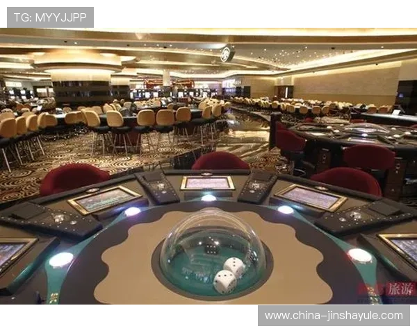 美国拉斯维加斯金沙公司如何打造奢华赌场体验满足不同游客的多样化需求
